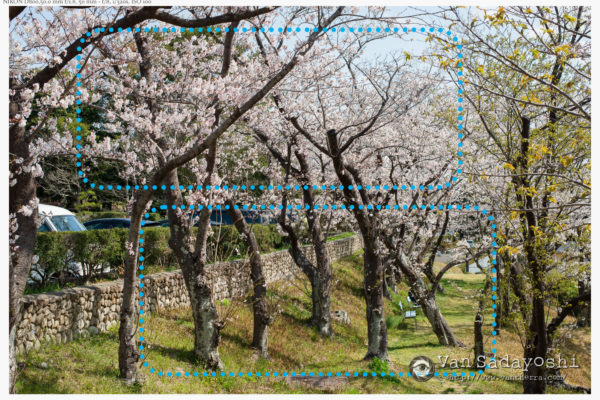 撮る時点でシンプルに！