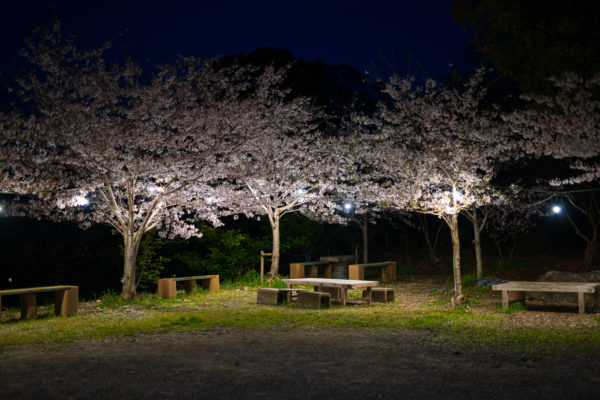 懐かしの一眼レフクロスセンサー