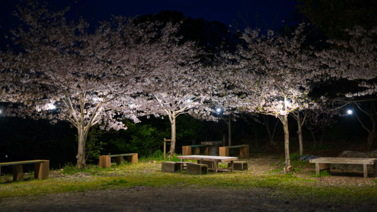 懐かしの一眼レフクロスセンサー