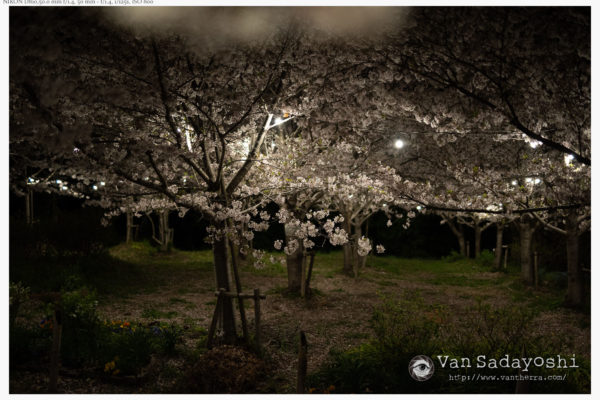 マイクロアジャストメントどうしてる？