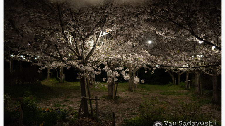 マイクロアジャストメントどうしてる？