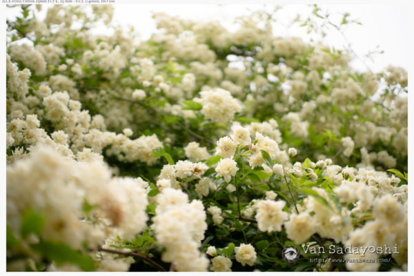 インスタ映え人物写真の比率