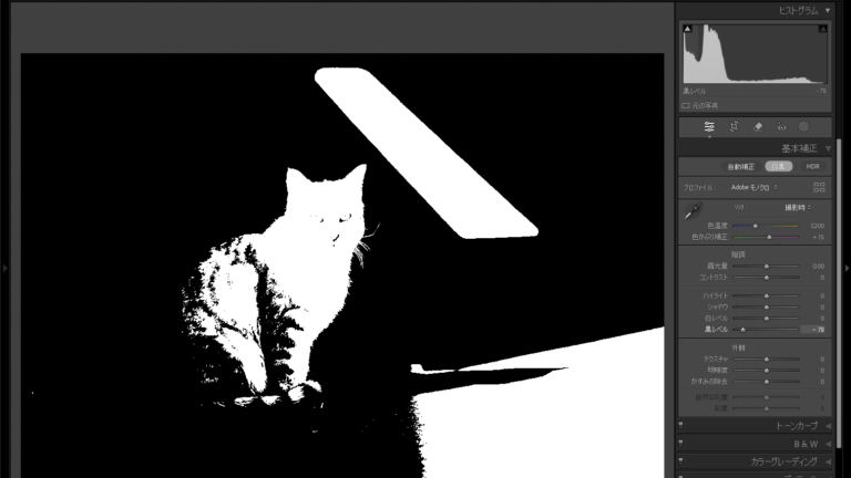 白いところを残すモノクロ