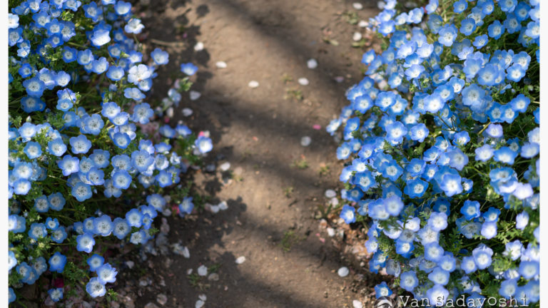 やっぱり真ん中を空けてもろくなことはない