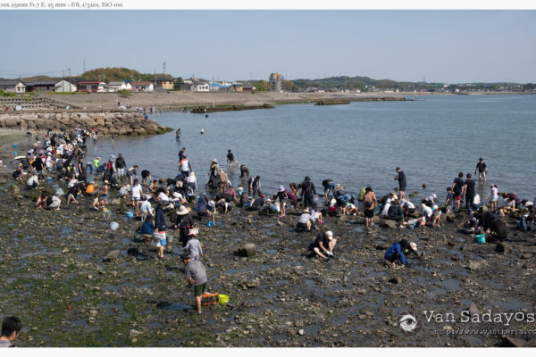 はじっこのために待つ