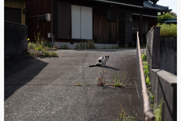 懐かしいピン抜け