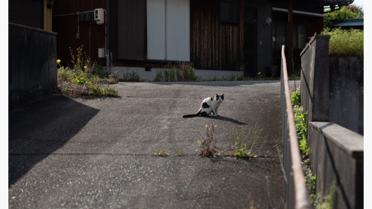 懐かしいピン抜け