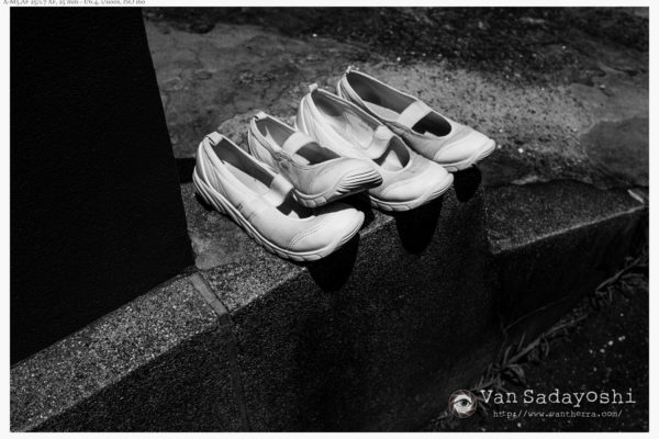 構図：みちみちなんだけどシンプル