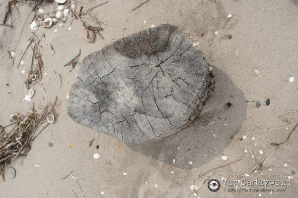 全く売れないオンデマンドプリント写真販売