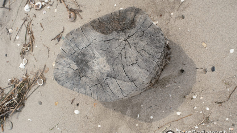 全く売れないオンデマンドプリント写真販売