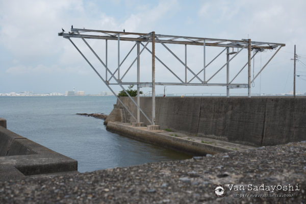 解かれるべき謎があるか？