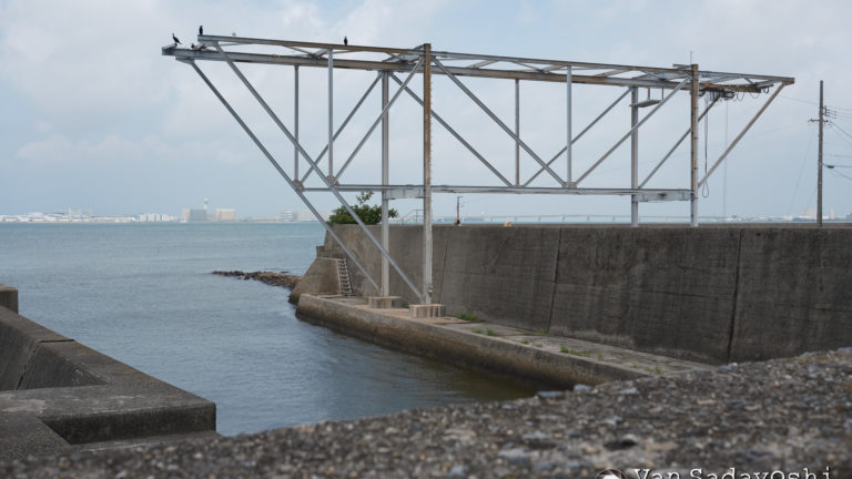 解かれるべき謎があるか？