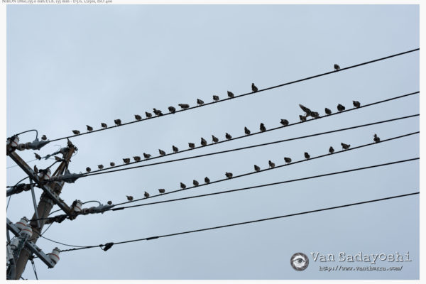 ちゃんと水平を優先するか否か