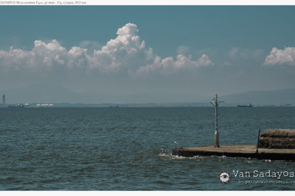 情報量を下げてみた