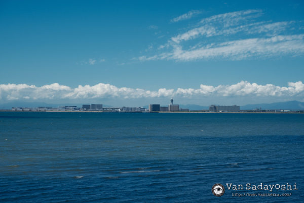 わざとらしさを許容できるかどうか