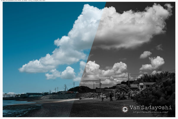 男性の目にはモノクロが記憶に近い？