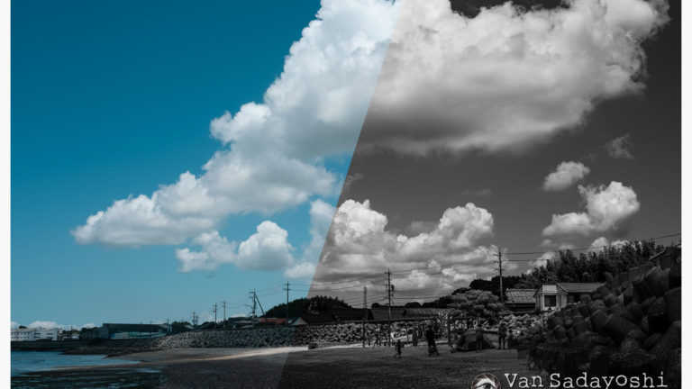 男性の目にはモノクロが記憶に近い？