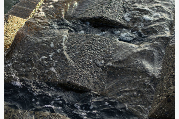 写真が苦手なもののひとつ