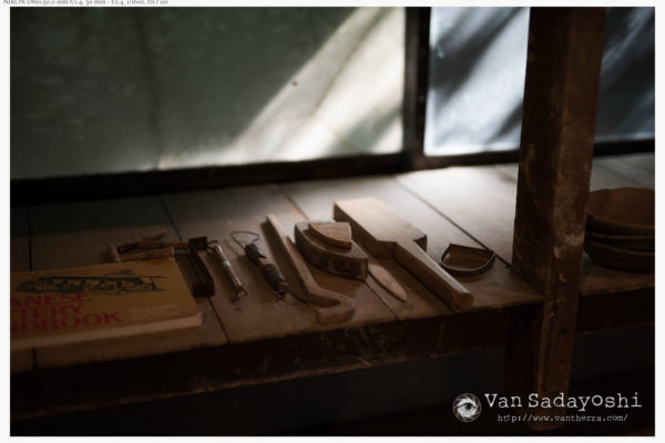 50mmで無理やり撮りました