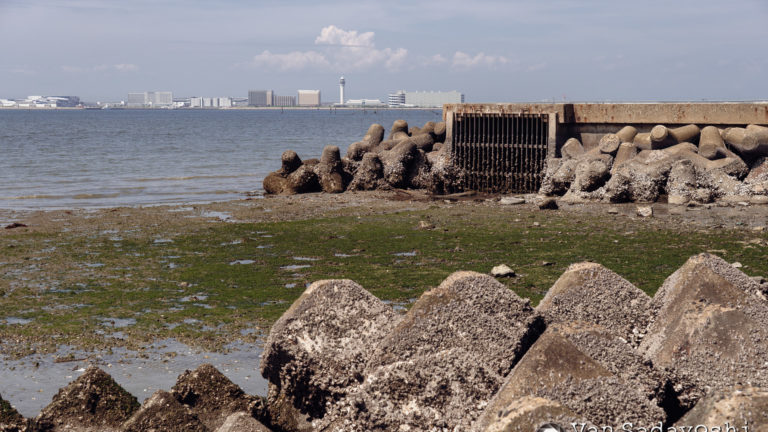 海っペリの意外な面白さ