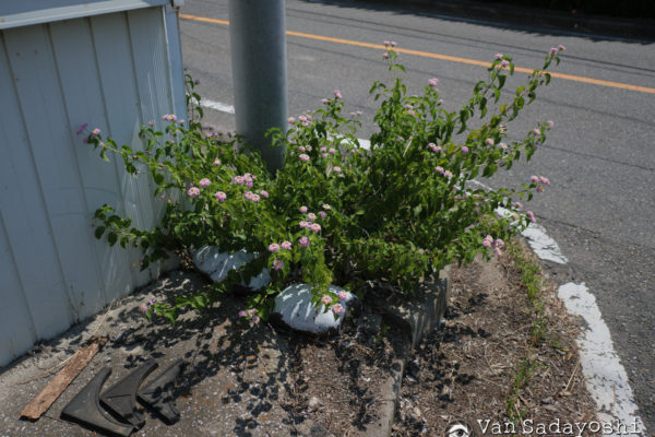 スナップカメラに最速シャッタースピード