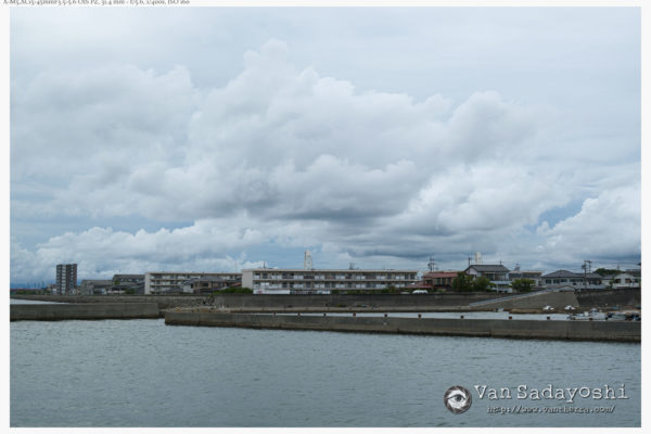 写真の「お約束」も訓練なんでしょうね