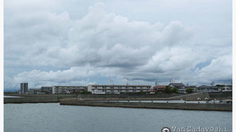 写真の「お約束」も訓練なんでしょうね