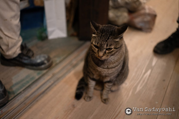 2日間撮って得た教訓