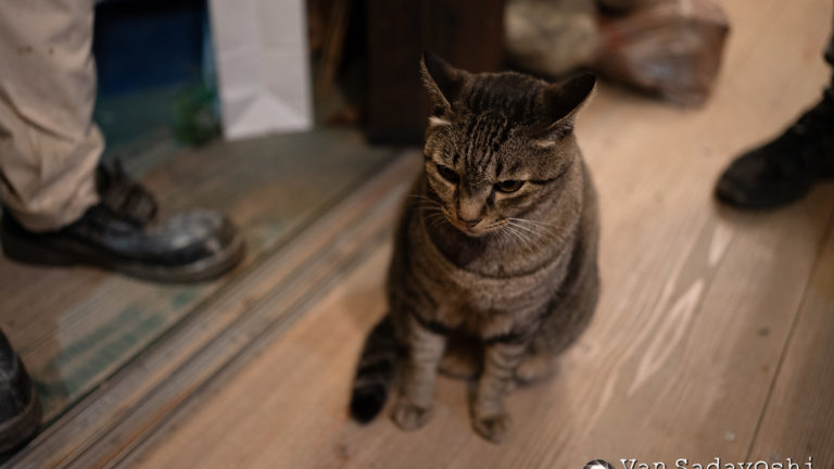 2日間撮って得た教訓