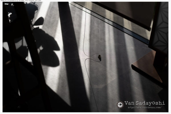 謎の読み込みエラー（Nikon Z8だけみたい）