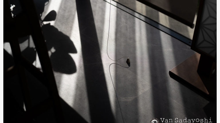 謎の読み込みエラー（Nikon Z8だけみたい）