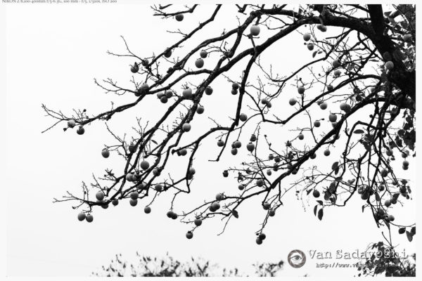 注意は引きたいが見られたくない感じ