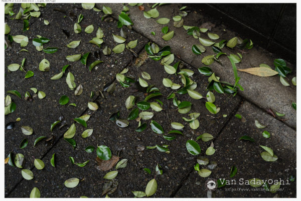 構図は心理的駆け引きの側面