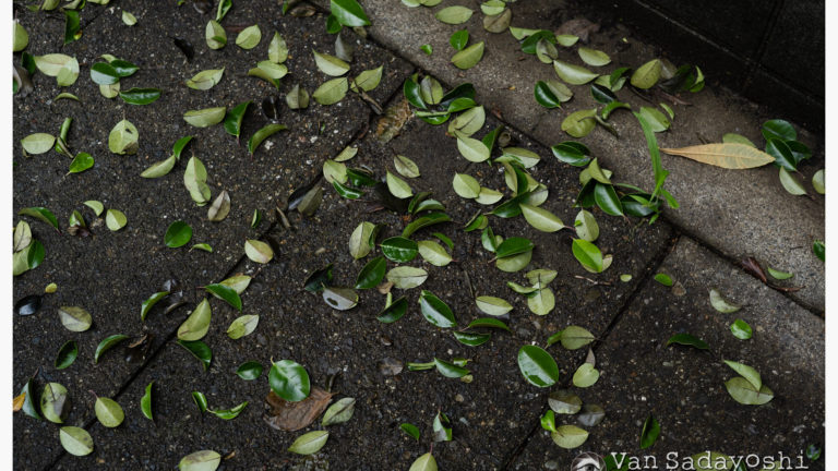 構図は心理的駆け引きの側面