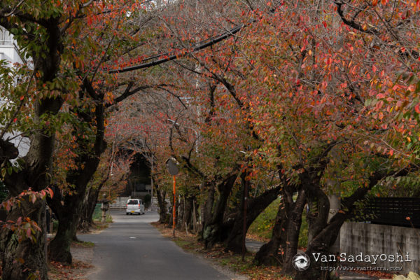 ライティングによる表現の違い