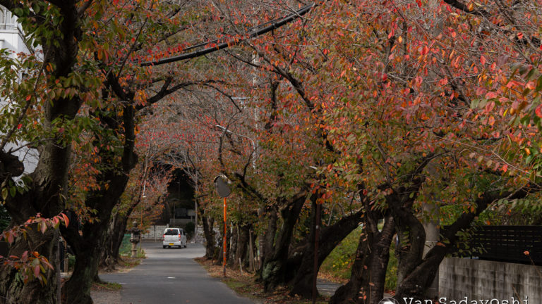 ライティングによる表現の違い