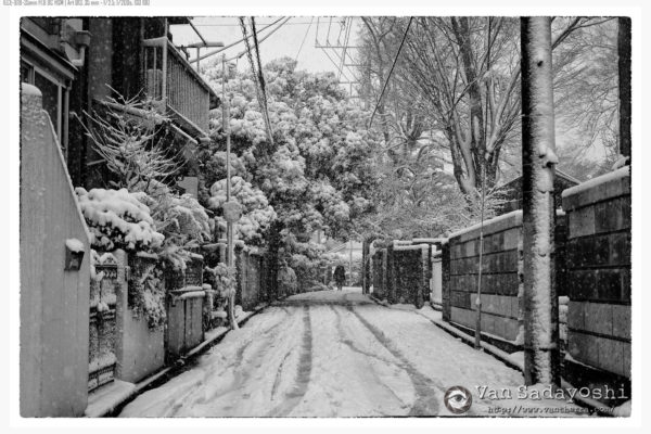 前向きでありたい