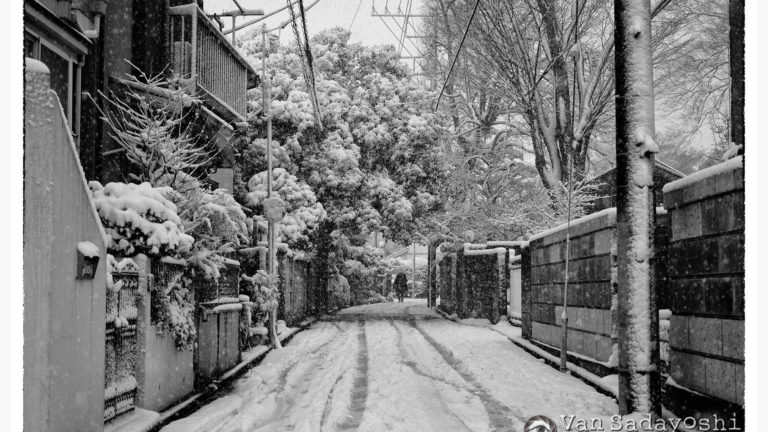 前向きでありたい