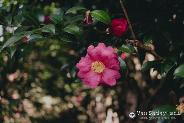 自分にとってのベストの更新