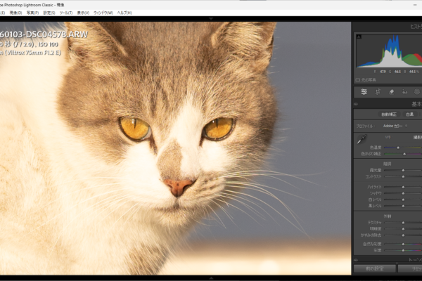 白飛びギリッギリのデータをいったん落としてから持ち上げる