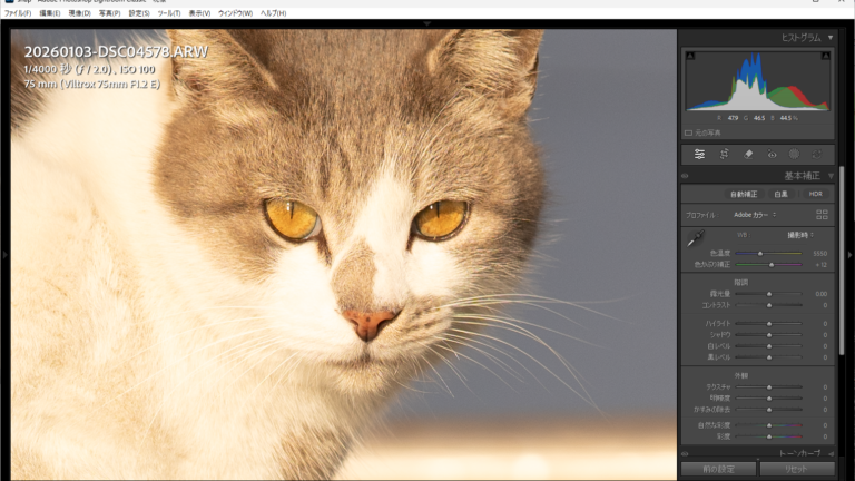 白飛びギリッギリのデータをいったん落としてから持ち上げる