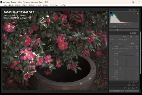 フィルム調RAW現像について改めて考える2
