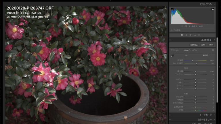 フィルム調RAW現像について改めて考える2