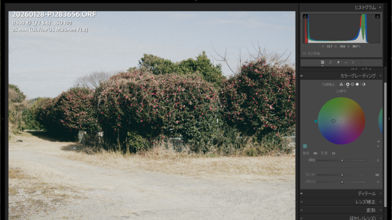 フィルム調RAW現像について改めて考える３