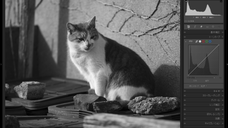 フィルム調RAW現像について改めて考える１