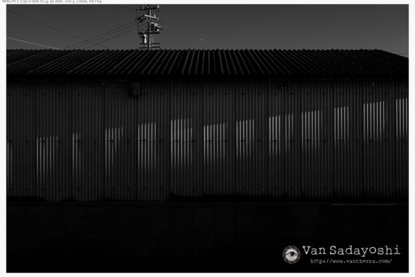 SNSでは「見たいものを提供する」が鉄則だよなあ、というのを改めて感じ候