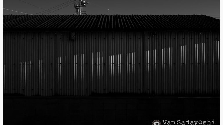 SNSでは「見たいものを提供する」が鉄則だよなあ、というのを改めて感じ候