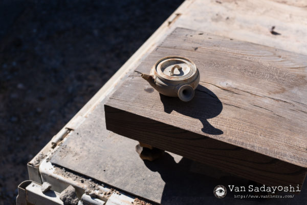 明るいところでは美しく見える理由が分かった