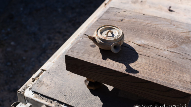 明るいところでは美しく見える理由が分かった