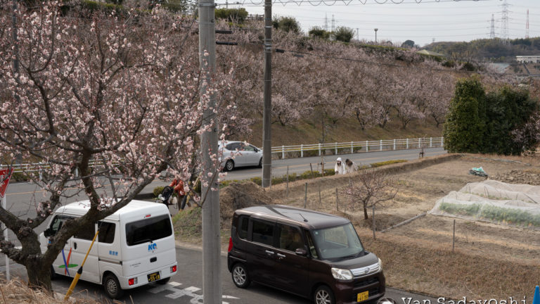 AI modifiedをPinterestが検出えらい